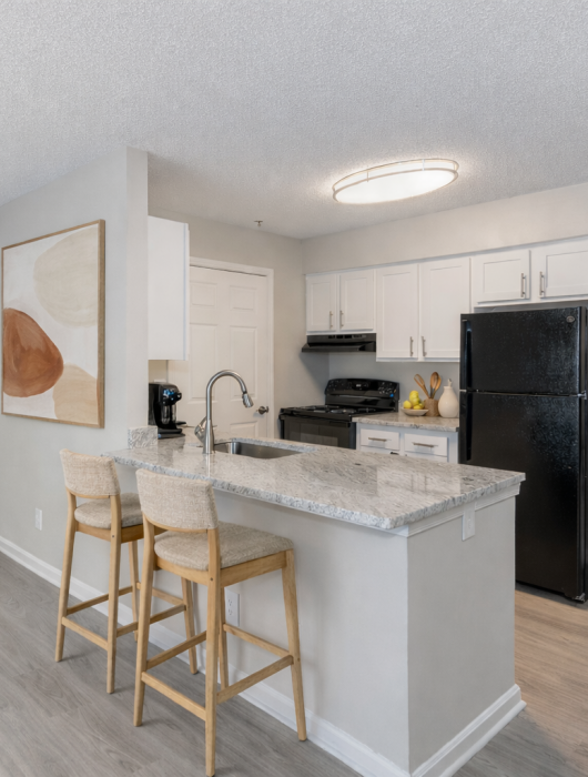 Modern kitchen with black appliances, white cabinets, bar seating, and a potted plant in a bright, open space.